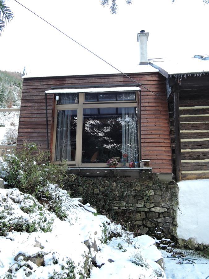 Atelier Eliska Apartment Stare Hory Exterior photo
